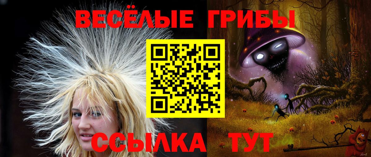 Галлюциногенные грибы GOLDEN TEACHER  Вход с VPN  Нерюнгри 