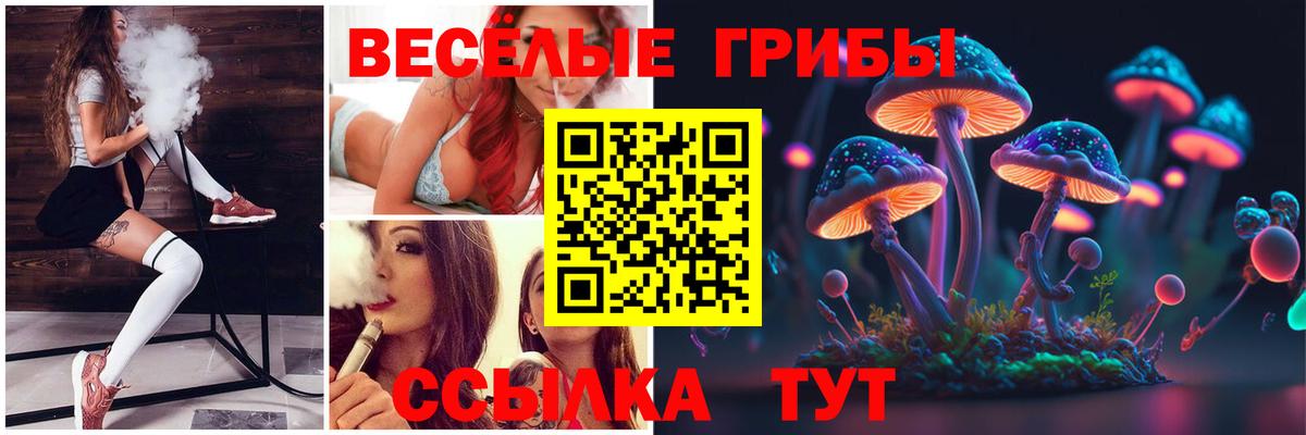 Галлюциногенные грибы MAGIC MUSHROOMS Нерюнгри